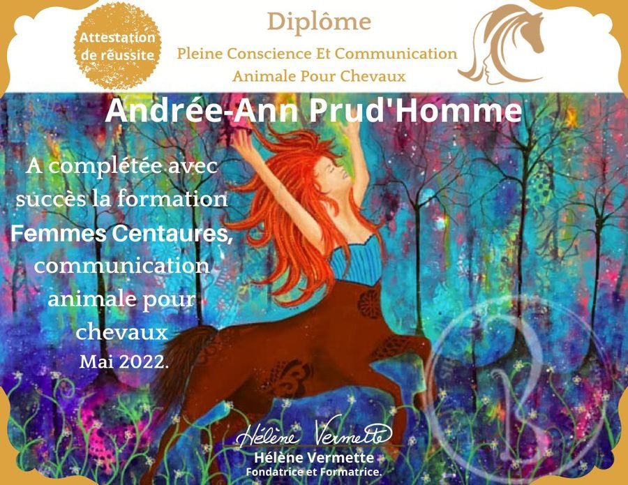 Témoignage — Andreanne Prudhomme 2