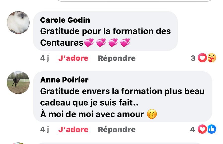Témoignage — Carole Godin Anne Poirier