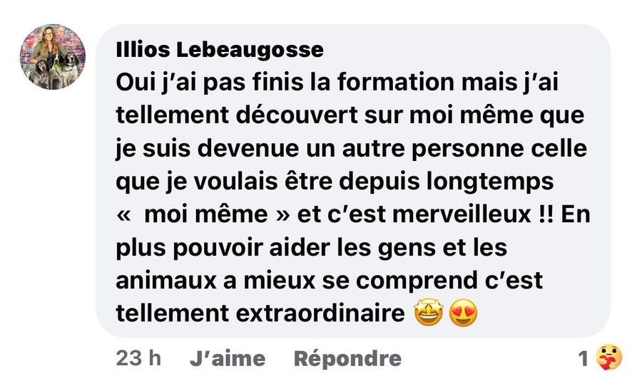 Témoignage — Illios Lebeaugosse