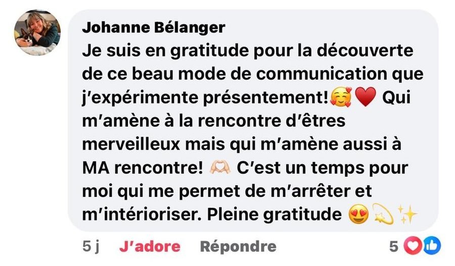 Témoignage — Johanne Belanger 3