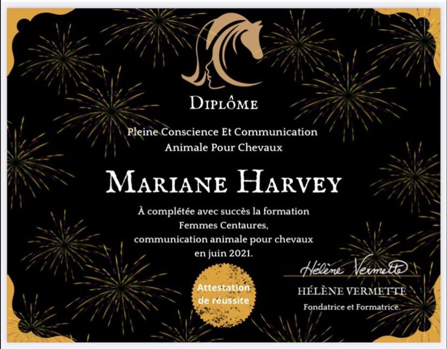 Diplôme de communication animale — Mariane Harvey