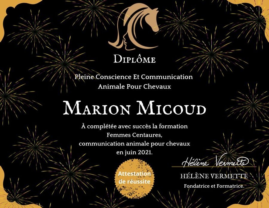 Témoignage — Marion Micoud