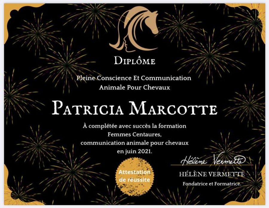 Témoignage — Patricia Marcotte
