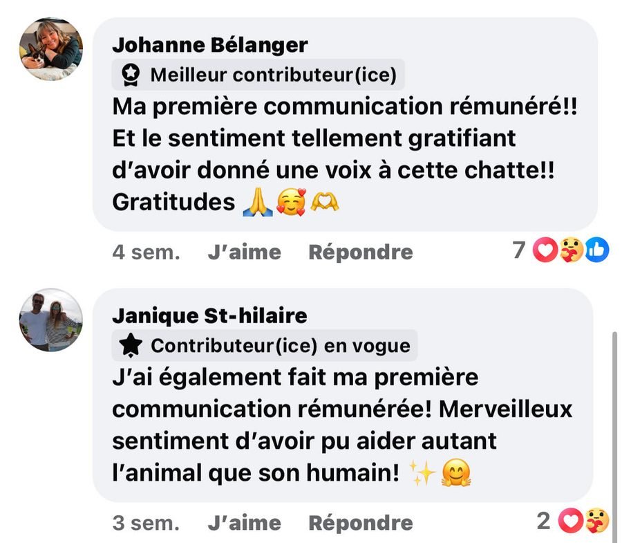 Témoignage — Uuid 5