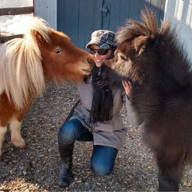 Certificat de communication animale — Isabelle Langlois