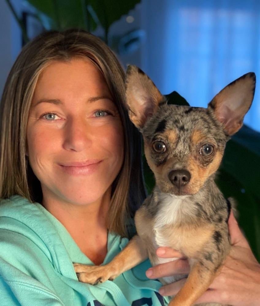 Certificat de communication animale — Janique St-Hilaire