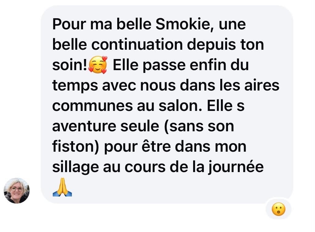 Nouvelles reçues de la gardienne de Smokie après la communication